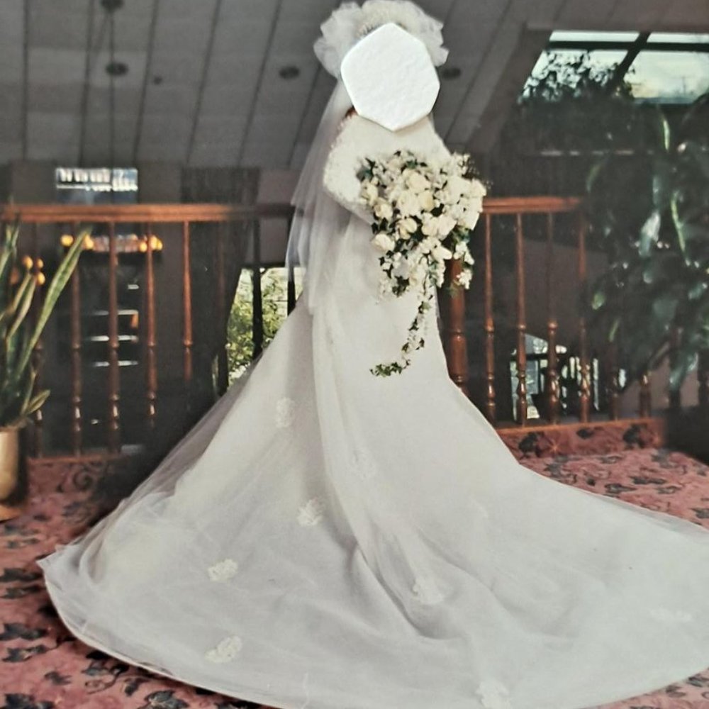 Semi Custon Ilissa Wedding Dress by Demetrios
